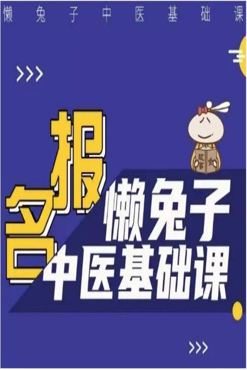 懒兔子中医基础课电影海报