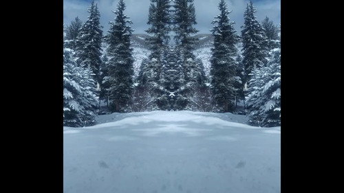 Backdrop