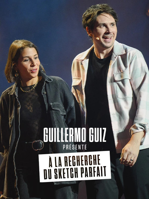 À la recherche du sketch parfait's poster