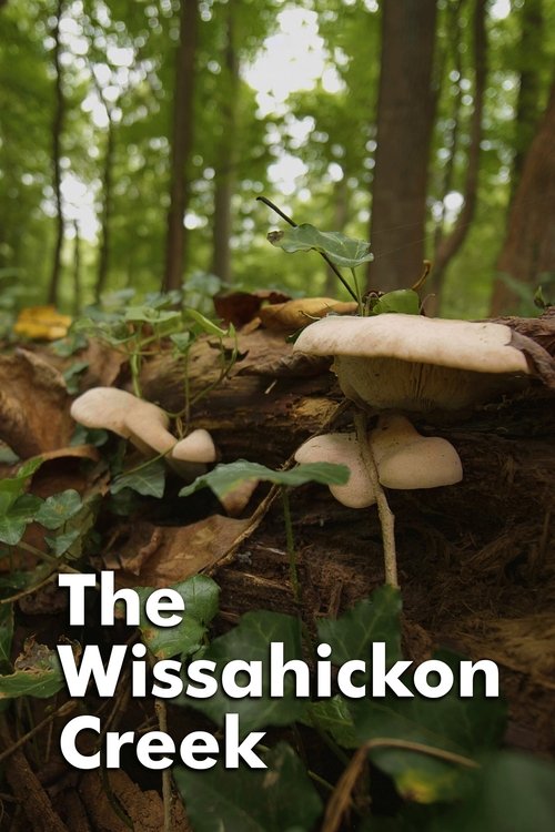 The Wissahickon Creek