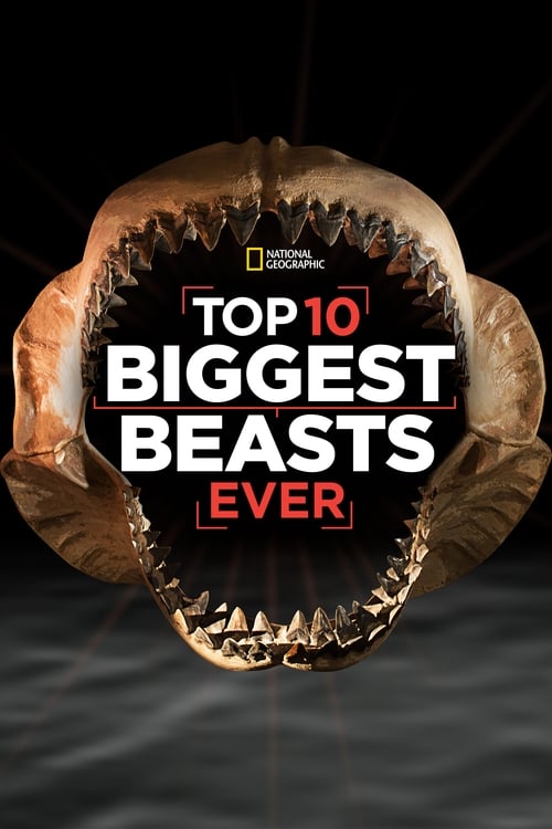 Top+10+Biggest+Beasts+Ever