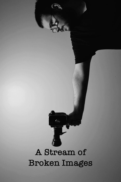 A Stream of Broken Images Poster