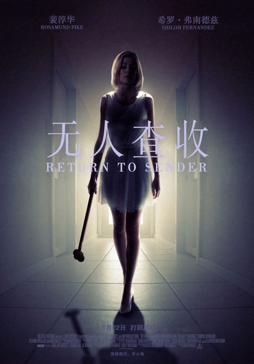 无人查收电影海报