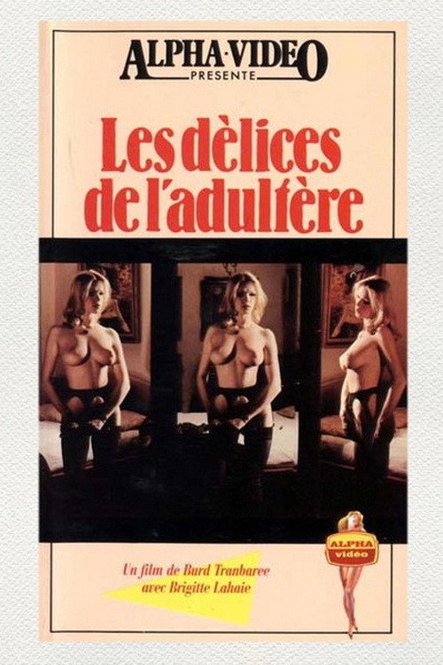 Delights of Adultery poster 2