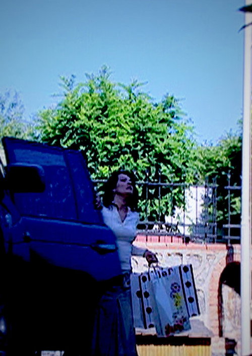 Sarı Çiçek Poster