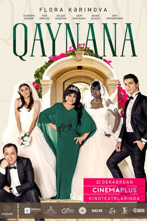 The Mother-in-Law Poster