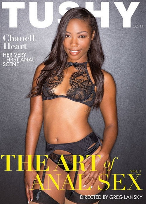 The Art of Anal Sex 3 Poster