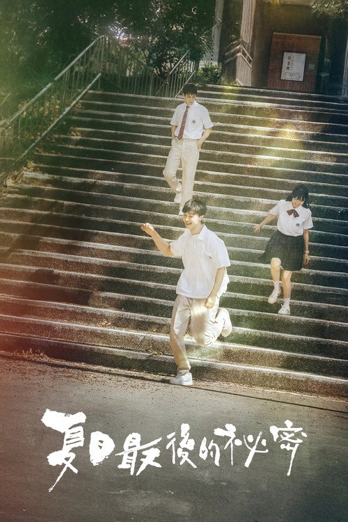 夏日最后的秘密电影海报
