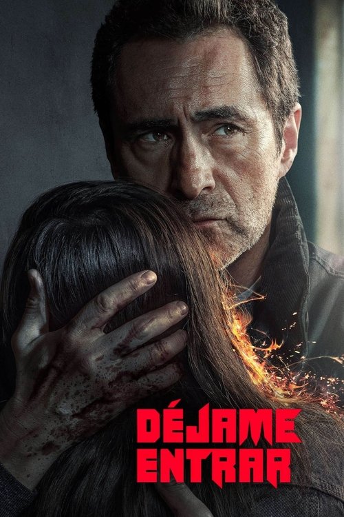 Poster of Déjame entrar
