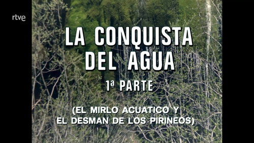 The Conquest of Water I