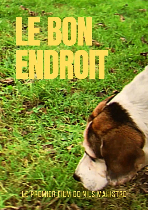 Le bon endroit电影海报