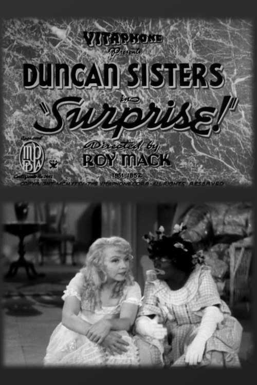 Surprise! Poster
