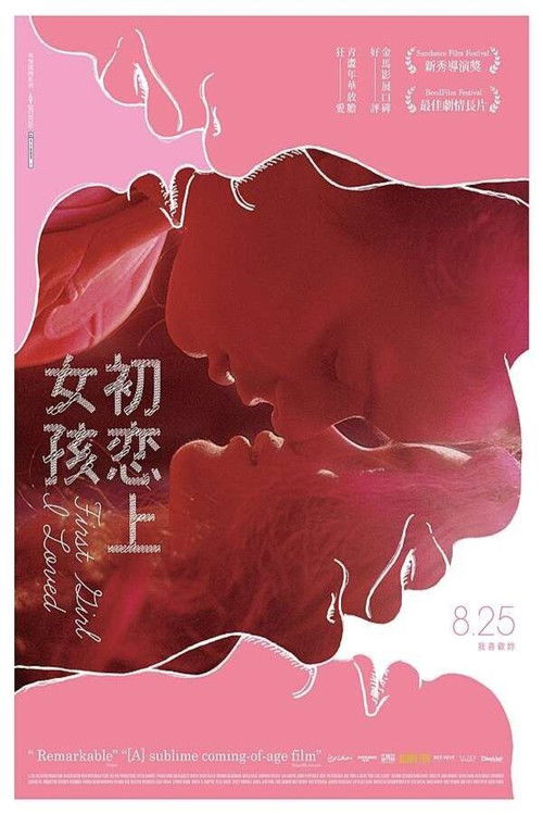 我的初恋女孩电影海报