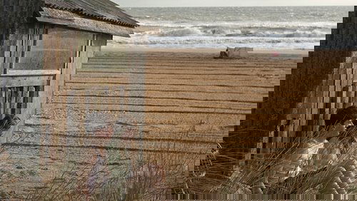 The Sea