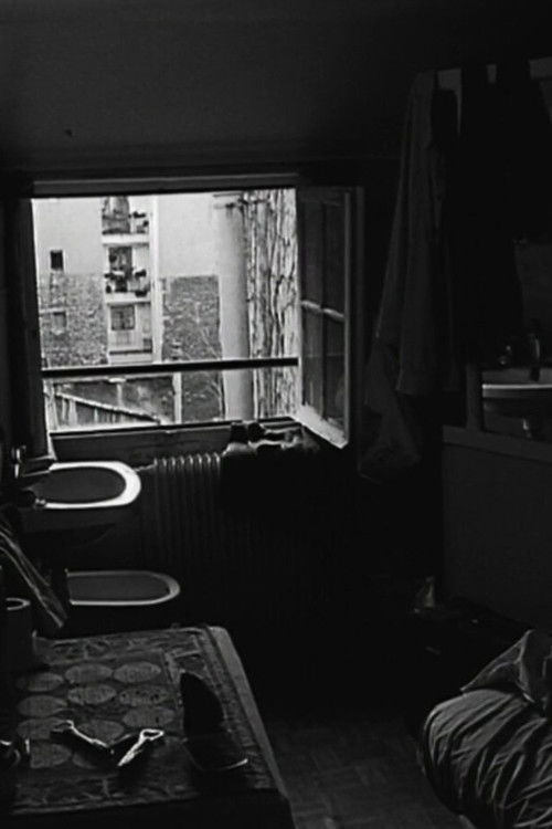 Ephèbes et courtisanes