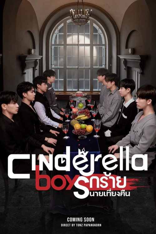 Cinderella Boys poster 3