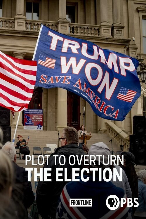 Plot to Overturn the Election Poster