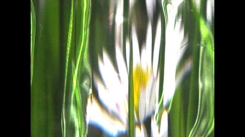Backdrop