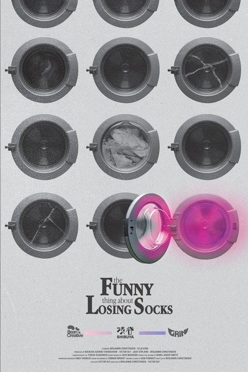 The Funny Thing About Losing Socks poster 3