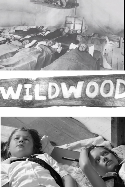 Wildwood电影海报