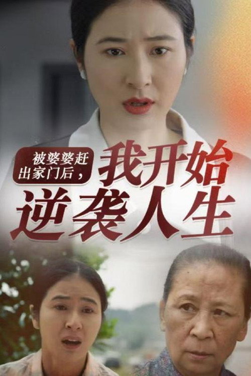被婆婆赶出家门后，我开始逆袭人生电影海报