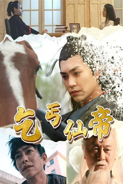 乞丐仙帝电影海报