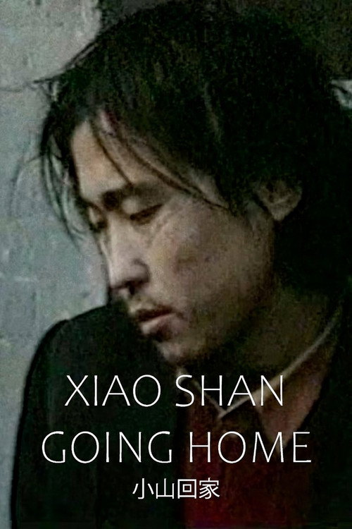 Xiao Shan Going Home Poster