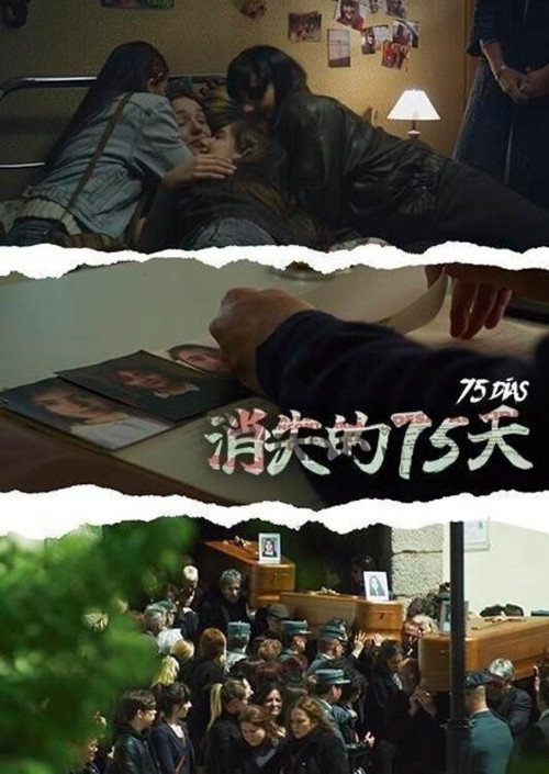 消失的75天电影海报