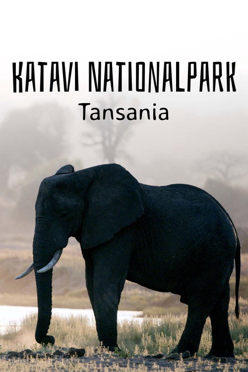 Katavi Nationalpark Tansania电影海报