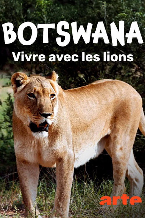 Botswana, Leben mit L&ouml;wen电影海报