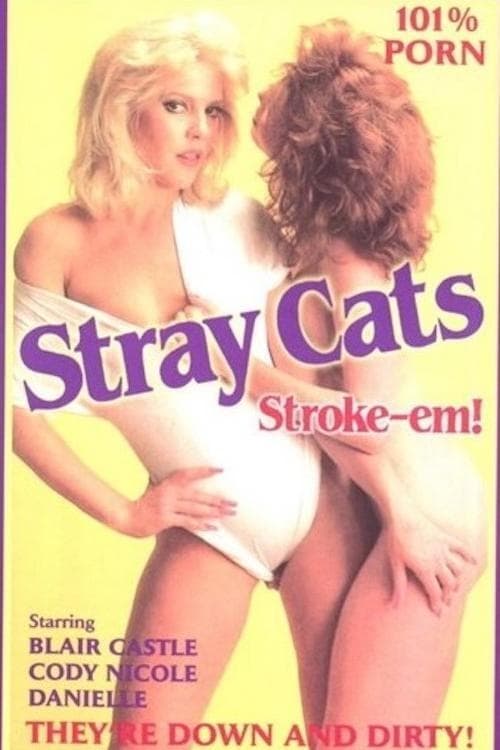 Stray Cats