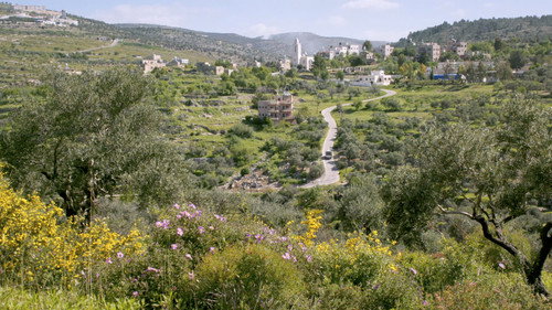 image1