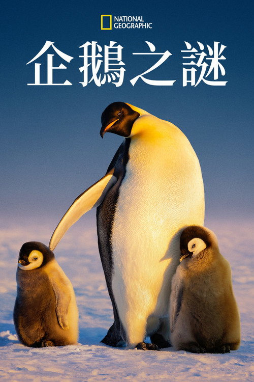 企鹅的秘密电影海报