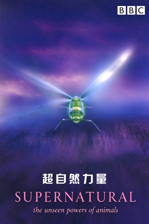 超自然力量电影海报