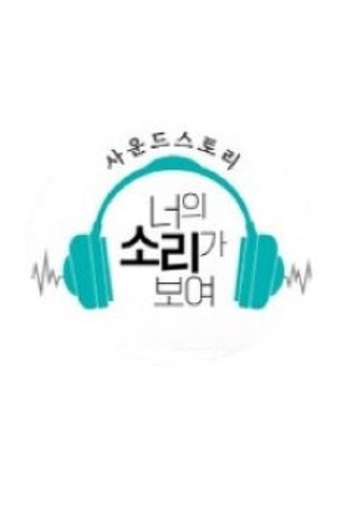 사운드 스토리 너의 소리가 보여电影海报