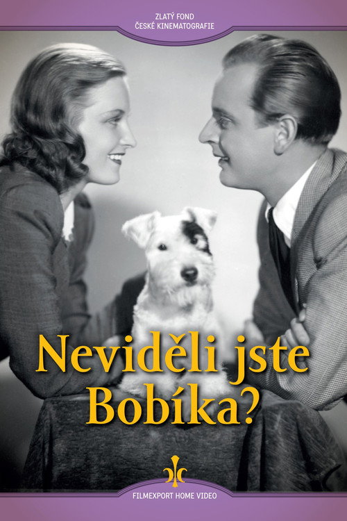 Neviděli jste Bobíka? poster 3