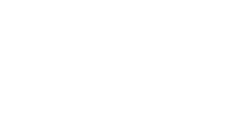 FURIOSA: A MAD MAX SAGA Logo