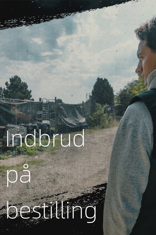 Indbrud p&aring; bestilling电影海报