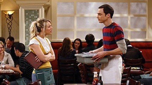 The Big Bang Theory - The Einstein Approximation