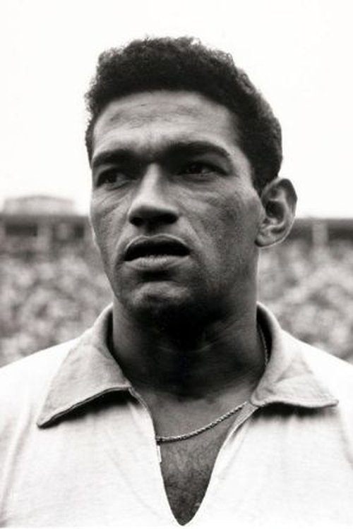 Poster of Garrincha