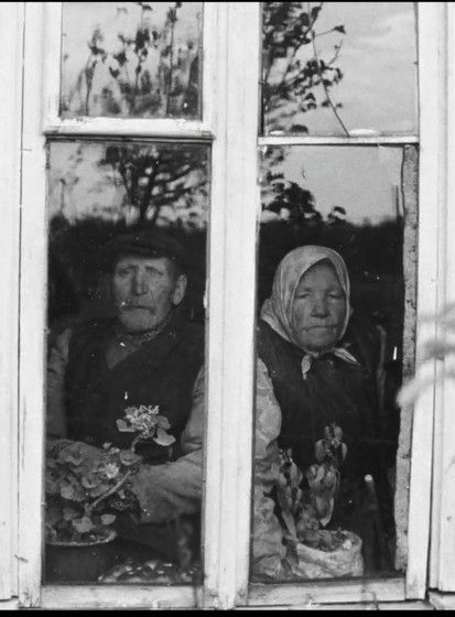 The Dreams of the Centenarians