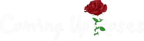 Production Company Logo