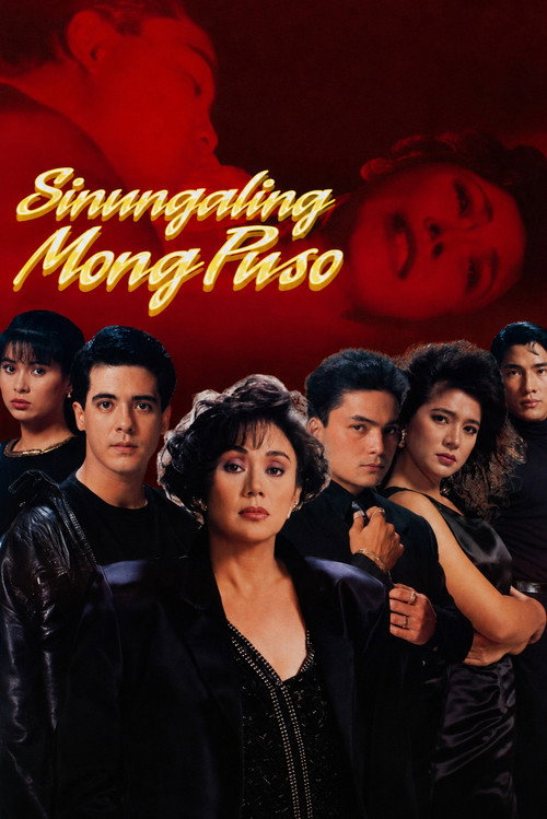 Sinungaling Mong Puso电影海报
