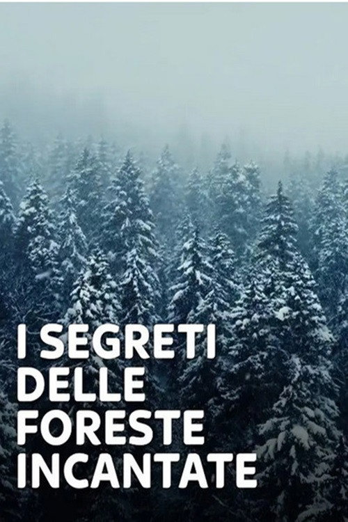 I Segreti Delle Foreste Incantate电影海报