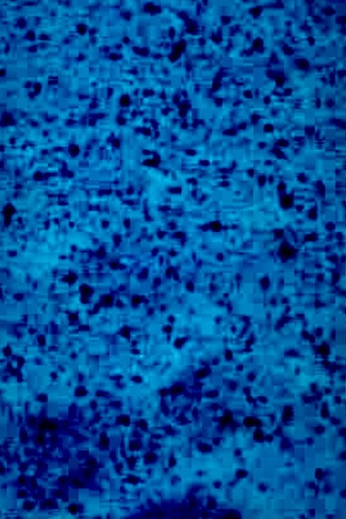 BLAUFILM poster