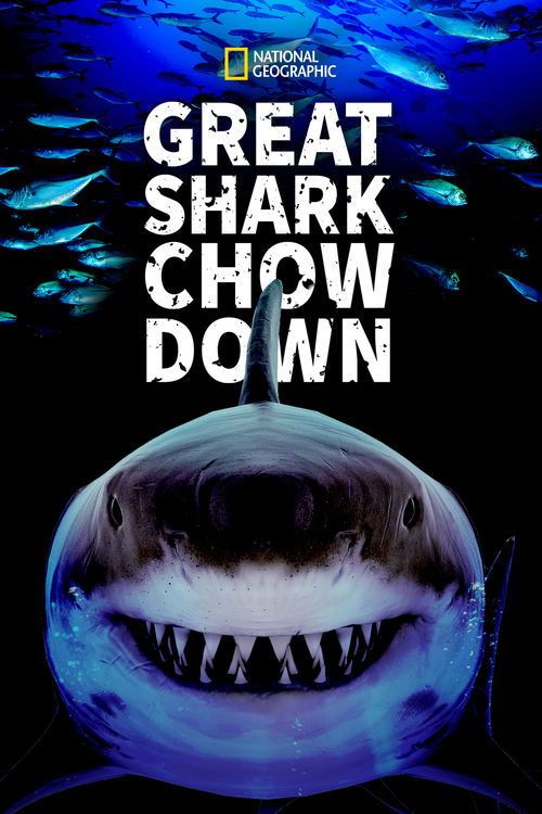 Great+Shark+Chow+Down