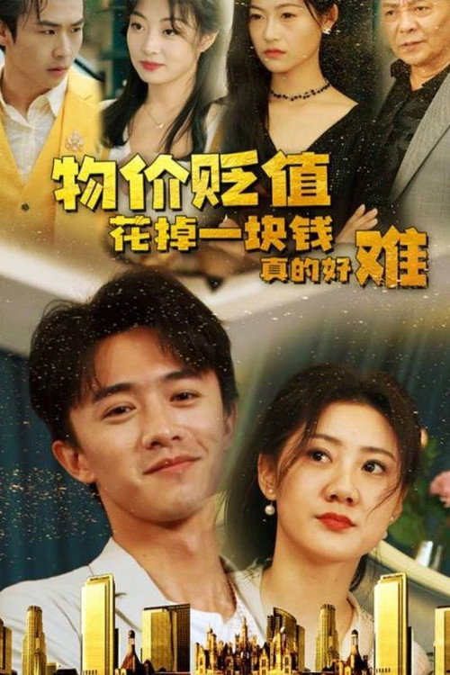 物价贬值花掉一块钱真的好难电影海报