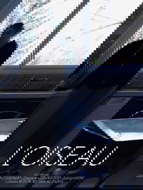L'oiseau
