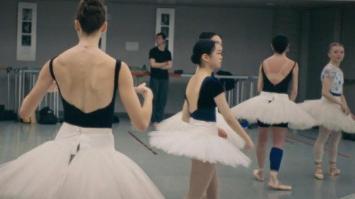 Swan Song
