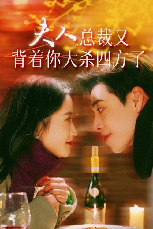 夫人，总裁又背着你大杀四方了海报